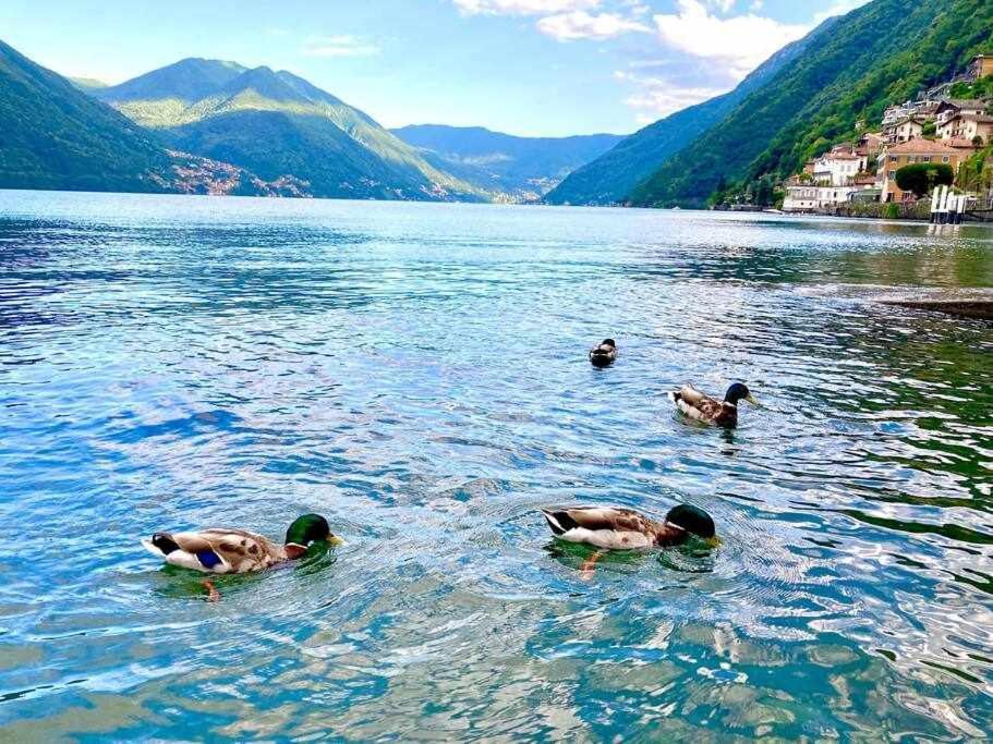 Una Finestra Sul Lago Argegno Exteriér fotografie